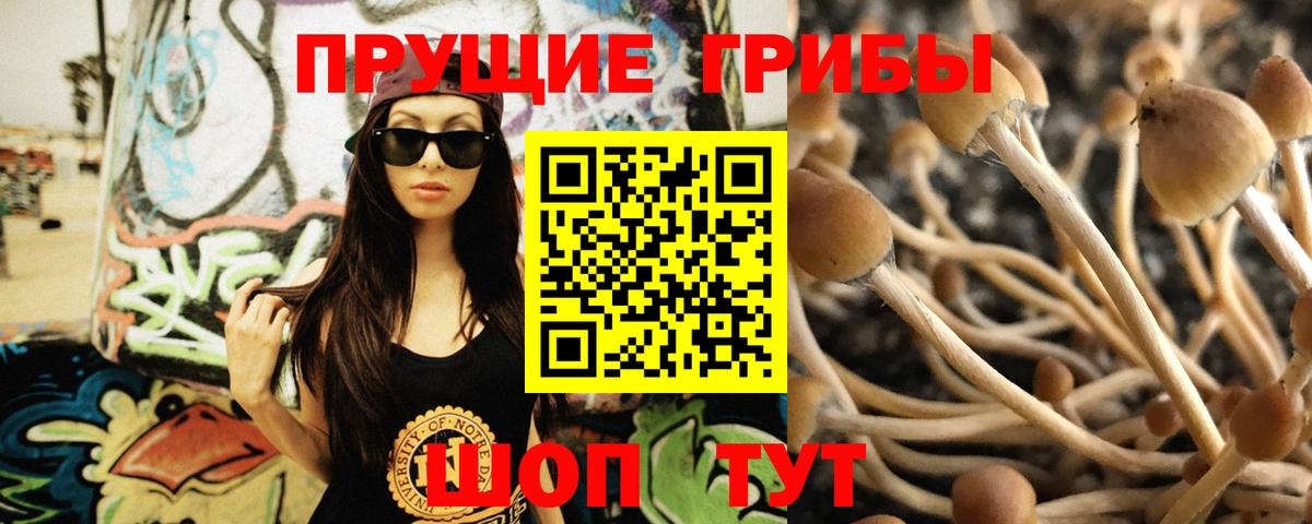 Псилоцибиновые грибы мицелий  Галлюциногенные грибы Magic Shrooms  Вход с VPN  Саров 