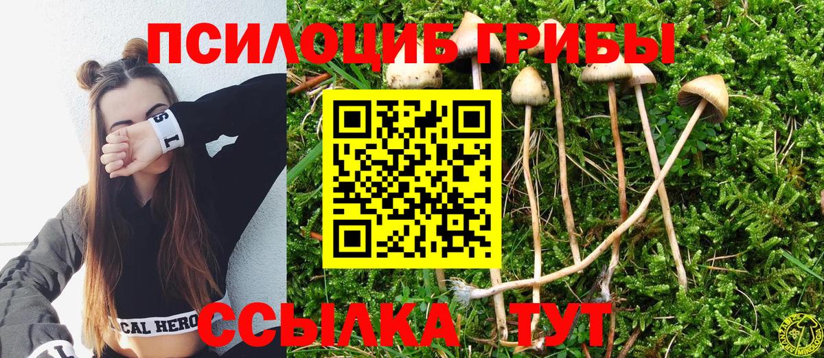 Псилоцибиновые грибы Magic Shrooms Саров